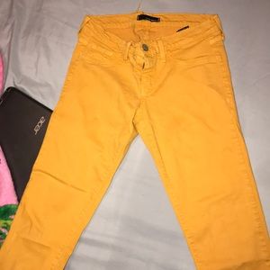 Mustard color pants